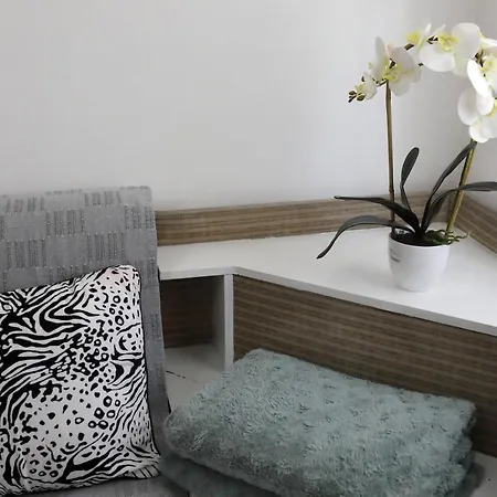 Sunny Terrace * Bibinje