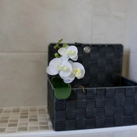 Sunny Terrace * Bibinje